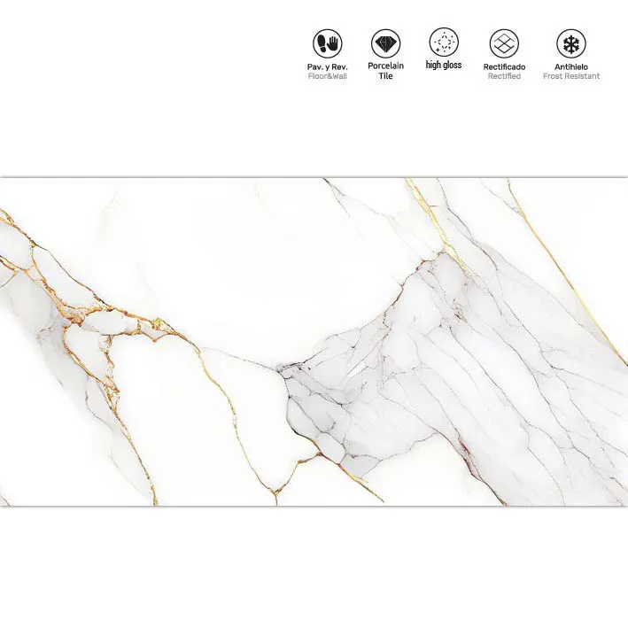 Devise Gold 60x120 India