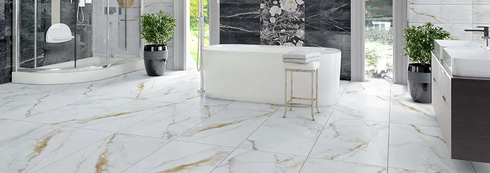 breeze 60x120 polished